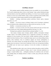 Konfliktų sprendimo procesas 3 puslapis