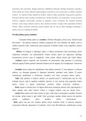 Kontrastas, kaip išraiškos priemonė tekstilėje 10 puslapis