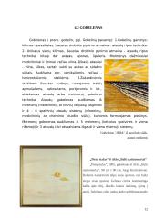 Kontrastas, kaip išraiškos priemonė tekstilėje 11 puslapis