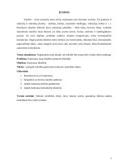 Kontrastas, kaip išraiškos priemonė tekstilėje 2 puslapis