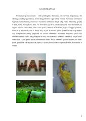 Kontrastas, kaip išraiškos priemonė tekstilėje 3 puslapis