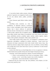 Kontrastas, kaip išraiškos priemonė tekstilėje 5 puslapis