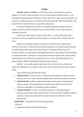 Kontrolės organizacijoje principai, lygiai, funkcijos 2 puslapis