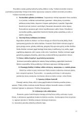 Kontrolės organizacijoje principai, lygiai, funkcijos 11 puslapis