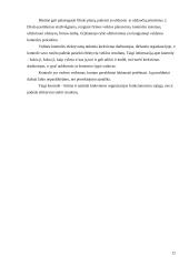 Kontrolės organizacijoje principai, lygiai, funkcijos 12 puslapis