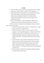 Kontrolės organizacijoje principai, lygiai, funkcijos 13 puslapis