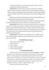 Kontrolės organizacijoje principai, lygiai, funkcijos 8 puslapis