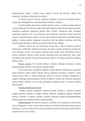 Kontrolės funkcijos esmė ir taikymas organizacijoje 19 puslapis