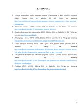 Krašto apsaugos finansavimas Lietuvos sąlygomis 18 puslapis