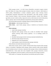 Krašto apsaugos finansavimas Lietuvos sąlygomis 2 puslapis