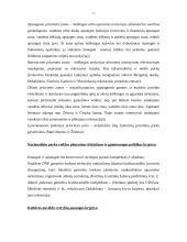 Kultūrinis turizmas Dzūkijos nacionaliniame parke 11 puslapis