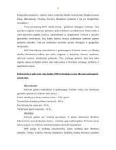 Kultūrinis turizmas Dzūkijos nacionaliniame parke 16 puslapis