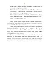 Kultūrinis turizmas Dzūkijos nacionaliniame parke 19 puslapis