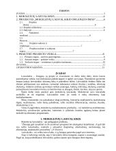 Laisvalaikio organizavimas