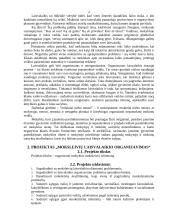 Laisvalaikio organizavimas 2 puslapis