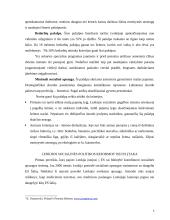 Lenkijos socialinės apsaugos sistema 6 puslapis