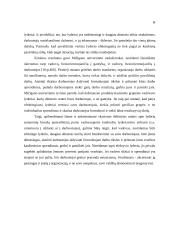 Vadovo lyderystė 12 puslapis