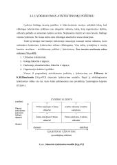 Vadovo lyderystė 13 puslapis
