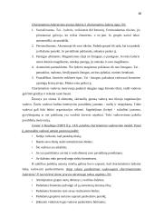Vadovo lyderystė 19 puslapis