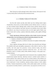 Vadovo lyderystė 4 puslapis