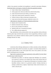 Vadovo lyderystė 5 puslapis