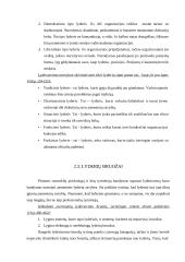 Vadovo lyderystė 6 puslapis