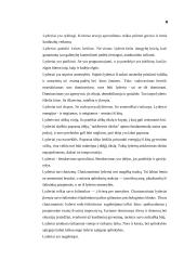 Vadovo lyderystė 8 puslapis