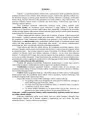 Lyderiavimas ir vadovavimas 2 puslapis