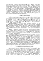 Lyderiavimas ir vadovavimas 4 puslapis