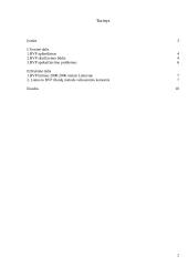 Lietuvos bendrasis vidaus produktas įvertintas išlaidų metodu 2 puslapis