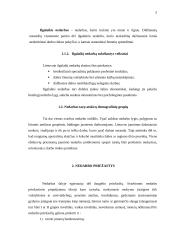 Lietuvos ekonomika: nedarbas 4 puslapis