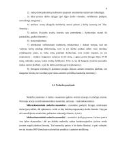 Lietuvos ekonomika: nedarbas 5 puslapis