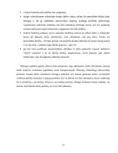 Lietuvos ekonomikos sistemos problemos 12 puslapis