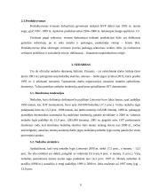 Lietuvos ekonomikos sistemos problemos 5 puslapis