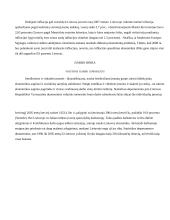 Lietuvos ekonominės būklės įvertinimas 7 puslapis