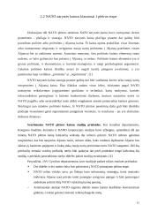 Lietuvos finansavimo ir investicijų panaudojimas Šiaurės Atlanto aljanse 11 puslapis