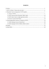 Lietuvos finansavimo ir investicijų panaudojimas Šiaurės Atlanto aljanse 3 puslapis