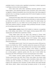 Lietuvos finansavimo ir investicijų panaudojimas Šiaurės Atlanto aljanse 6 puslapis