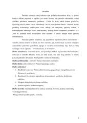 Lietuvos ir Airijos palyginamoji analizė 3 puslapis