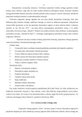 Lietuvos įsiskolinimų užsieniui analizė 17 puslapis