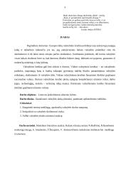 Lietuvos įsiskolinimų užsieniui analizė 3 puslapis