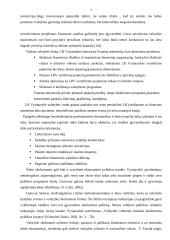 Lietuvos įsiskolinimų užsieniui analizė 7 puslapis