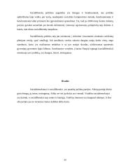 Lietuvos politinės partijos - LSDP ir Naujoji Sąjunga 10 puslapis