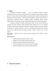 Lietuvos tarptautinės prekybos analizė 2 puslapis