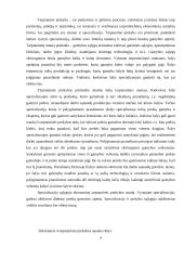 Lietuvos tarptautinės prekybos analizė 3 puslapis