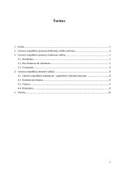 Lietuvos valstybė šiandien. Lietuvos politinė santvarka. Lietuvos valdžia 2 puslapis