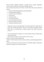 Lietuvos valstybės ekonominė politika bei jos ir tikslai 12 puslapis