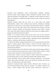 Lietuvos valstybės ekonominė politika bei jos ir tikslai 13 puslapis