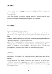 Lietuvos valstybės ekonominė politika bei jos ir tikslai 7 puslapis