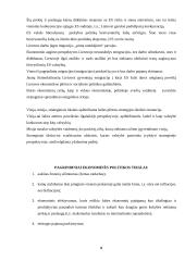 Lietuvos valstybės ekonominė politika bei jos ir tikslai 8 puslapis